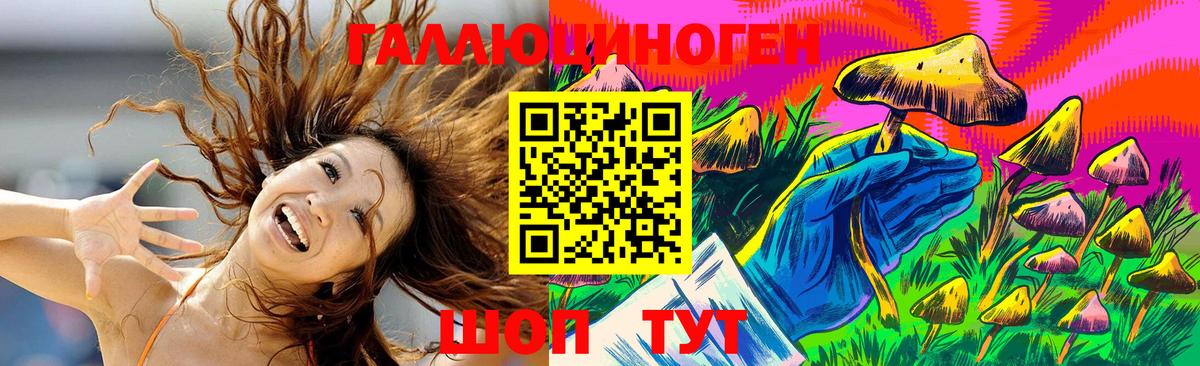 Галлюциногенные грибы Psilocybine cubensis Гатчина